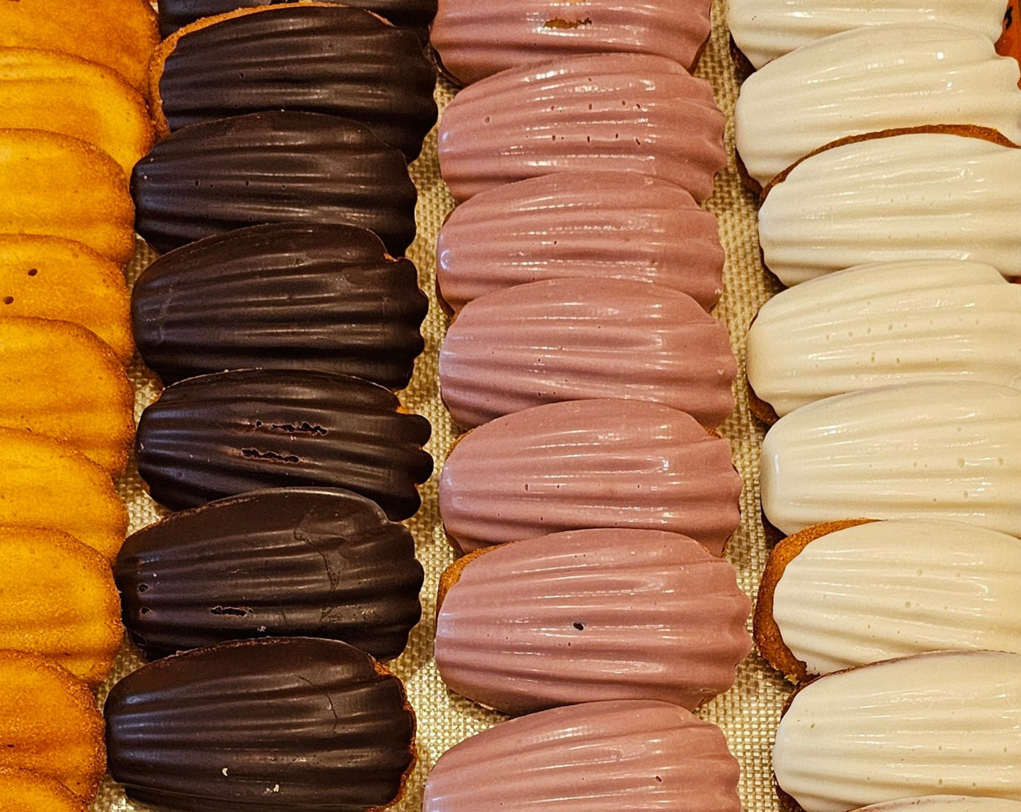 Rows of madeleine cookies with one side coated in chocolate