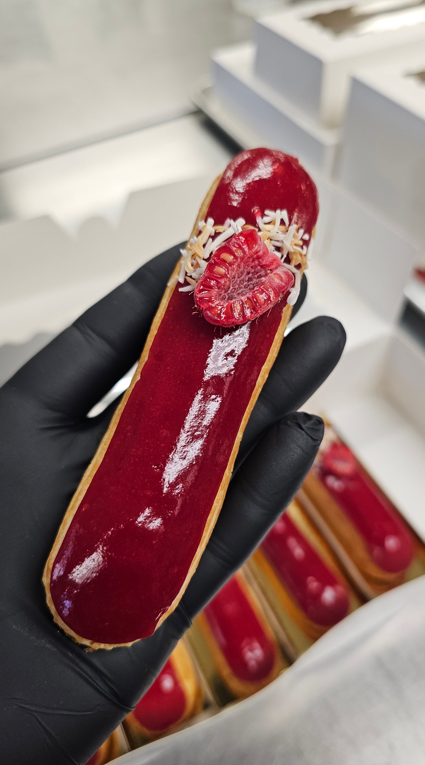 Coconut Raspberry Éclairs (6)
